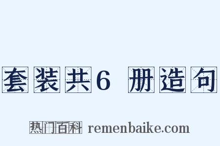 套装共6册造句是什么意思的图片